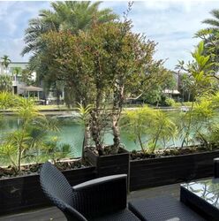 Paradise Island (D4), Detached #619552461